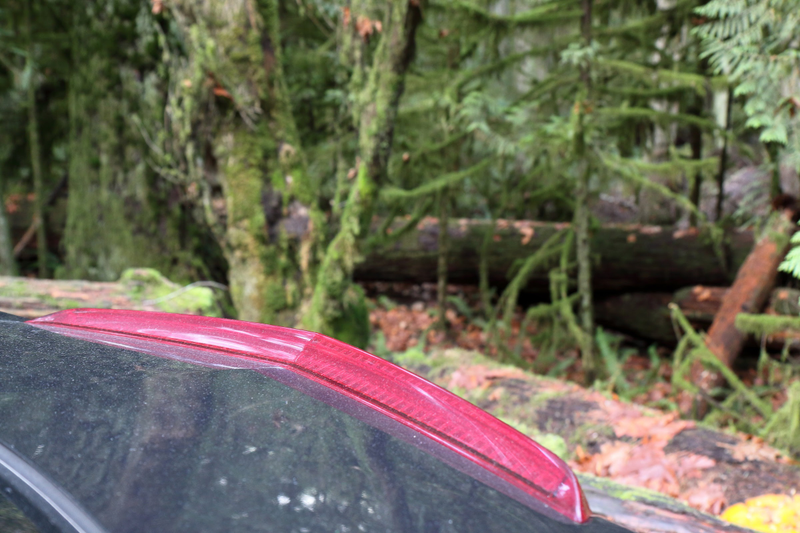 Illustration for article titled Trip Recap: 2017-12-09 on the Pacific Rim Highway to the Wild Pacific Trail